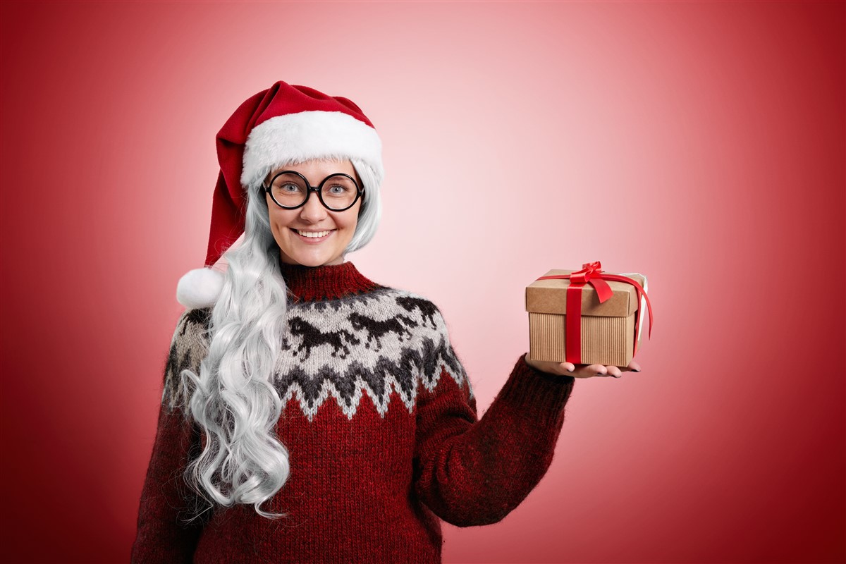 pulls de Noël
