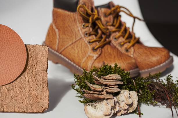 Chaussures vegan