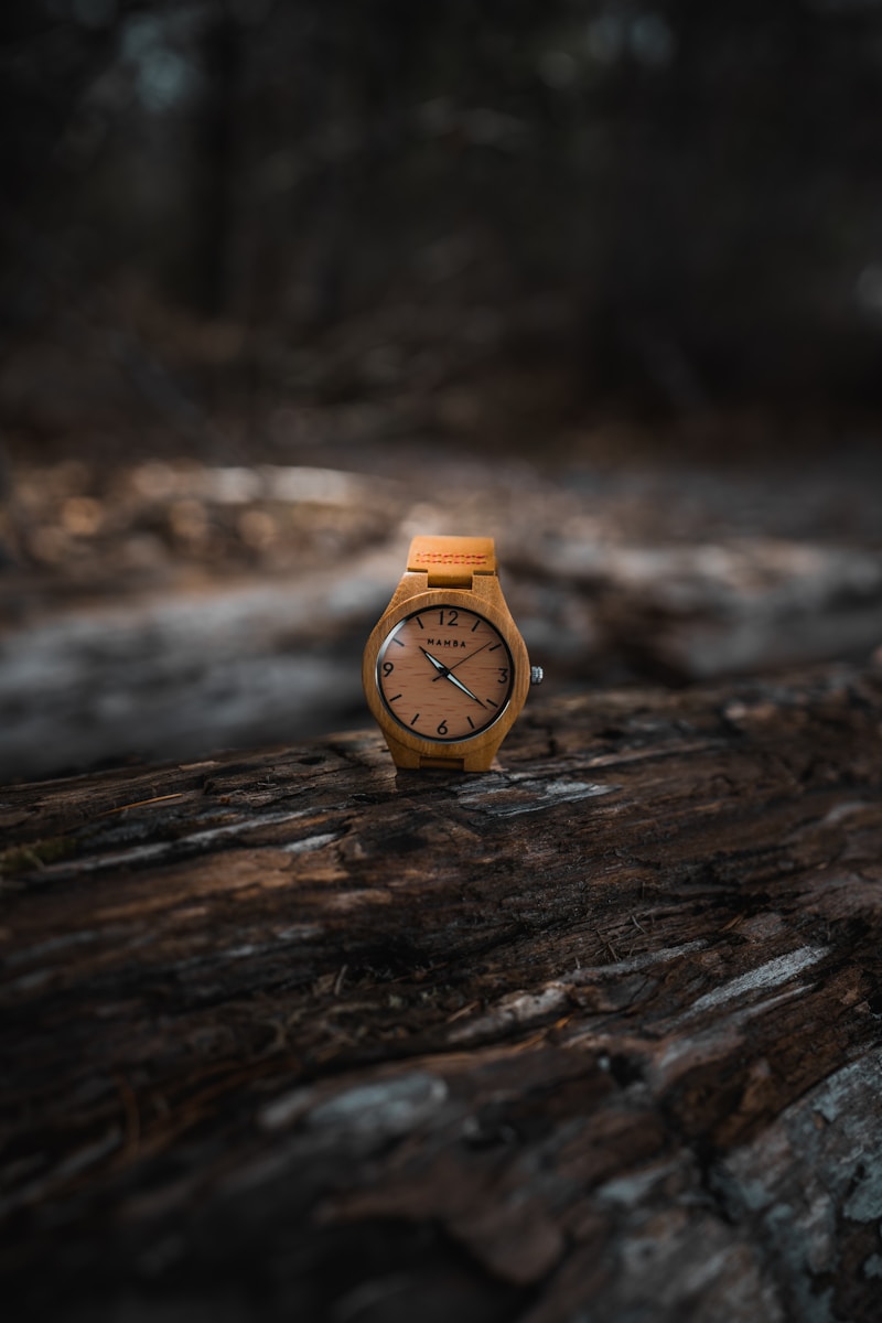 montre en bois