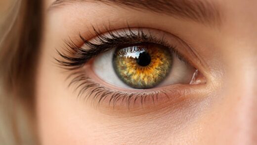 découvrez l'origine fascinante des yeux hazel jaunes et la signification unique de cette teinte dorée qui illumine le regard.